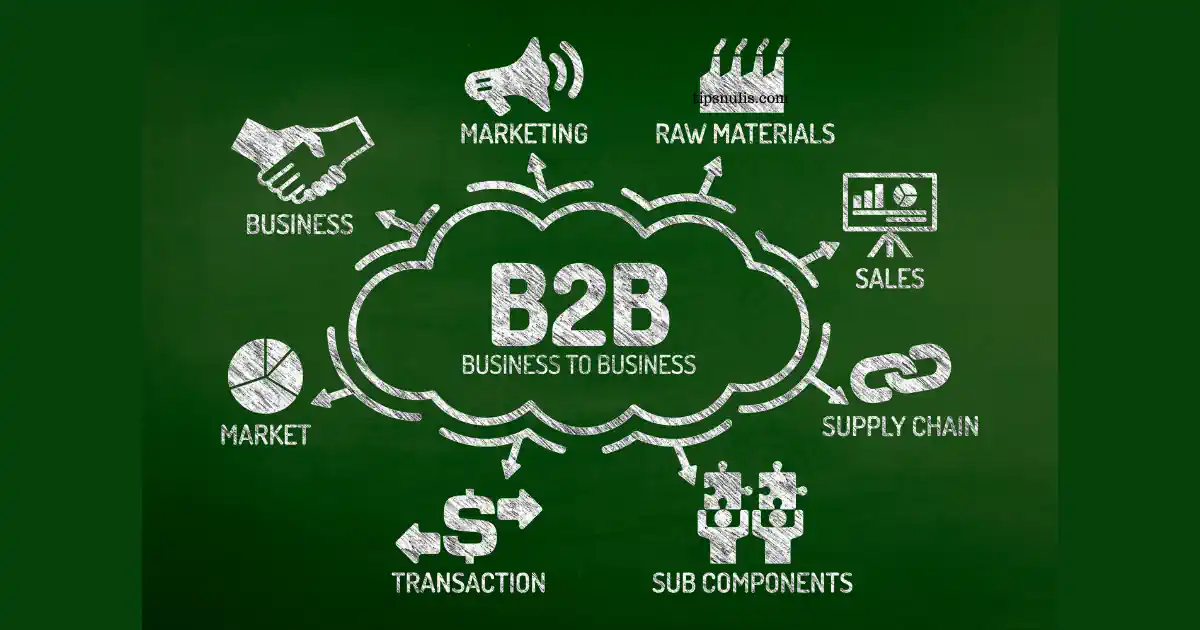Strategi pemasaran bisnis b2b
